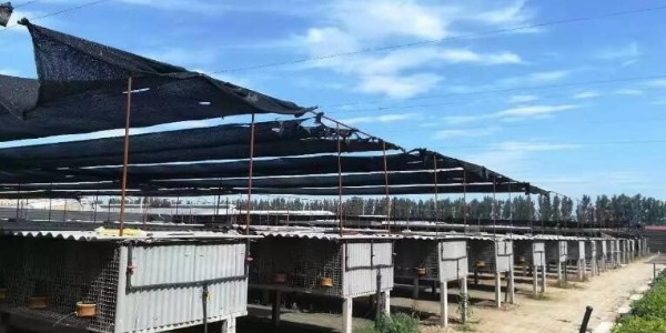 辦公室空調(diào)節(jié)能控制器